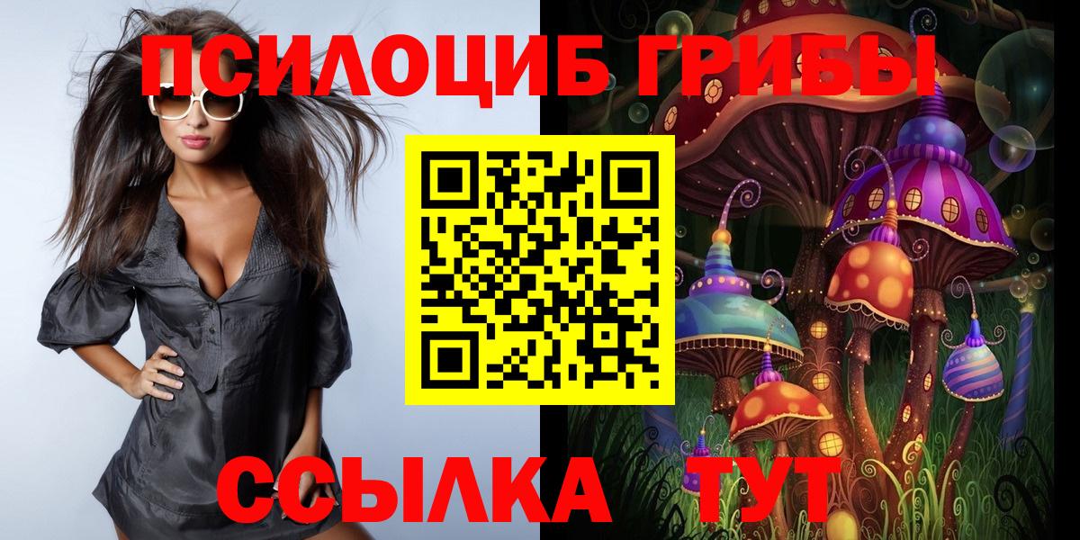 Можга  Галлюциногенные грибы прущие грибы  Вход с VPN  Галлюциногенные грибы ЛСД 