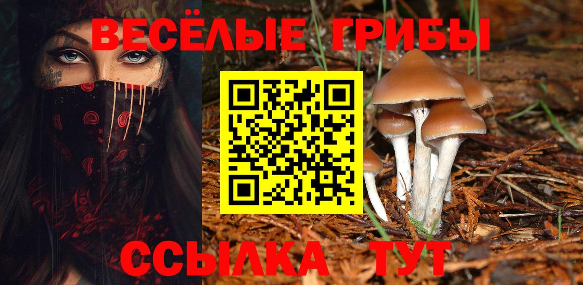 Псилоцибиновые грибы мицелий Можга